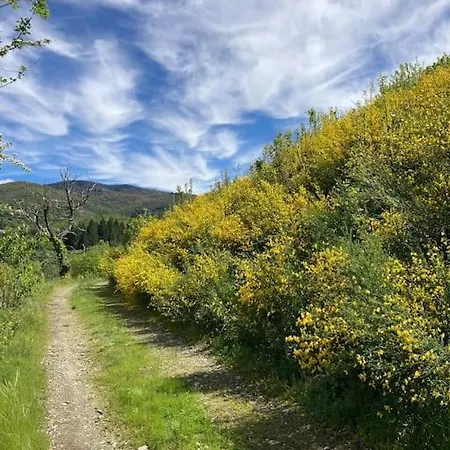 De La Placette Tatil Evi *