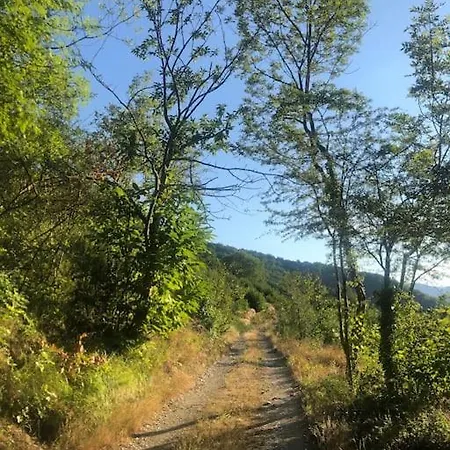 De La Placette Tatil Evi